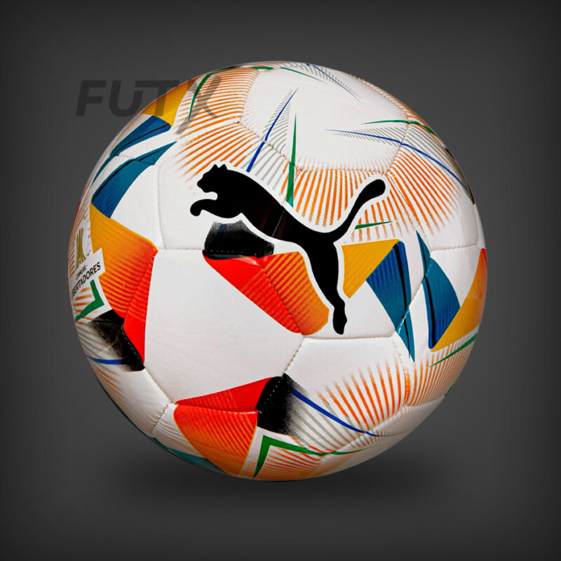 PELOTA CONMEBOL LIBERTADORES 2024 N°5